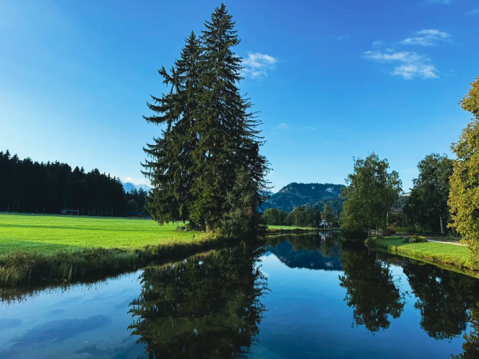 Garten des Ferienhauses ACHZEIT in Fischen im Allgäu
